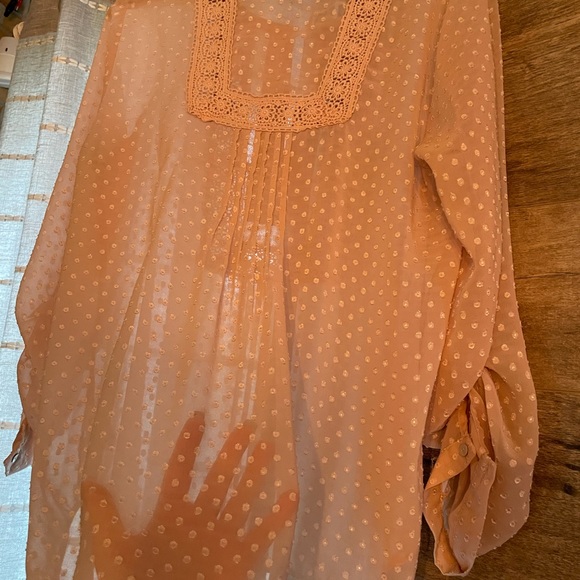 Cute Old pink sheer blouse, size large - Picture 4 of 4